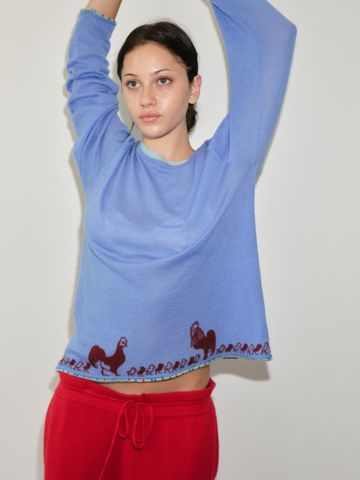 Chick Long Sleeve image 3