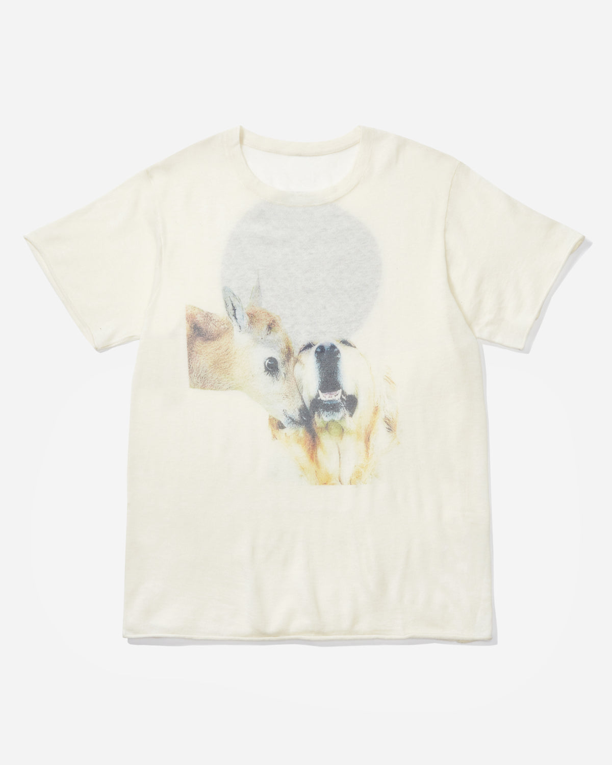 Dog Deer Love image 1