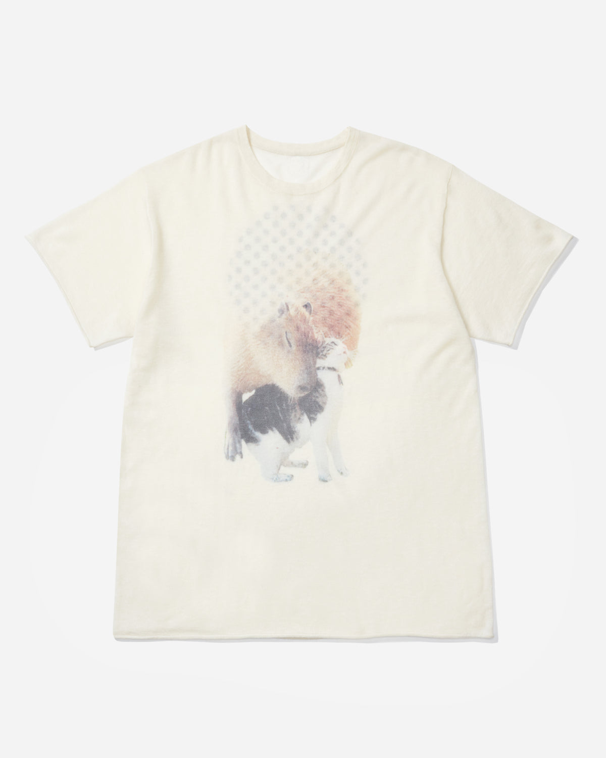 Kitty Capybara Love image 1